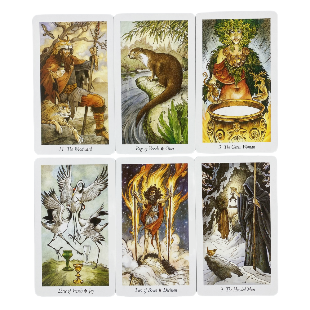 The Wild Wood Tarot Cards A 78 - Board Game Wild Wild recension och pris